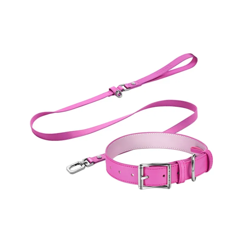 MARS MAIL Solid Color Collar Leashes Clothing Sets-4