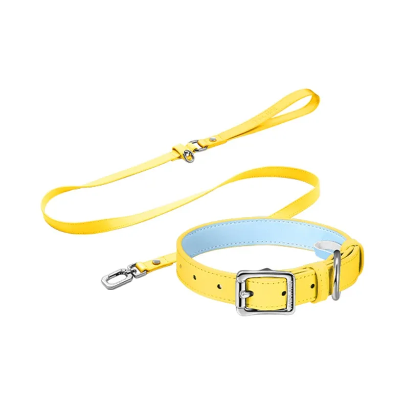 MARS MAIL Solid Color Collar Leashes Clothing Sets-0