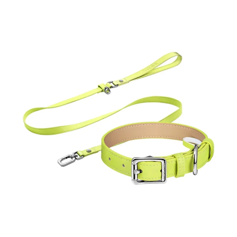 MARS MAIL Solid Color Collar Leashes Clothing Sets-2