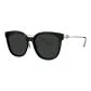 BL3198C10 Bright Black/Polarized