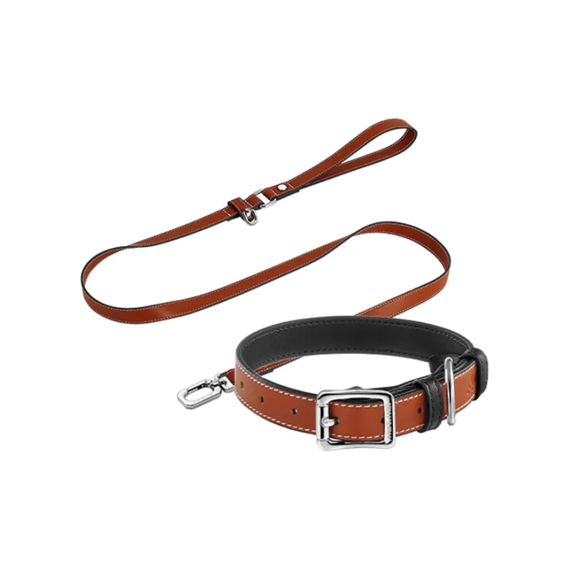 MARS MAIL Solid Color Collar Leashes Clothing Sets-5