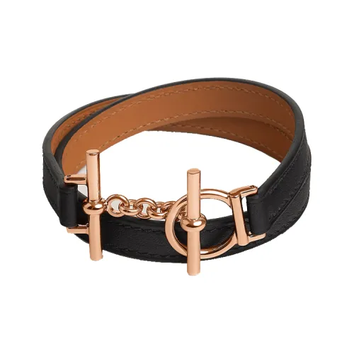 magnifique cravate hermes