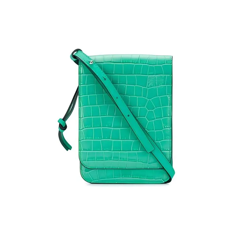 LOEWE Crocodile Leather Camera Bags Crossbody Bags Women's Light Green-0