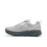 Silver Gray