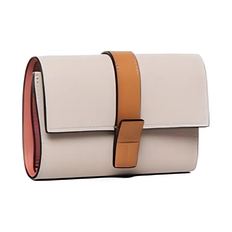 LOEWE Calfskin Wallet Small Size Women's Beige & Brown-1