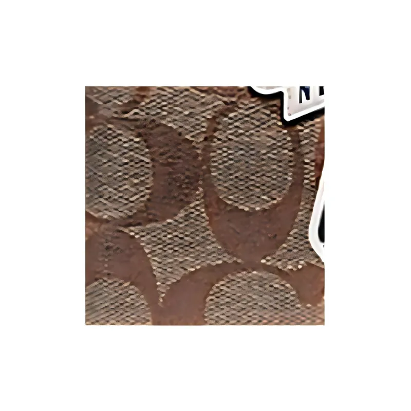 COACH Passport Case Passport Holders Khaki-2