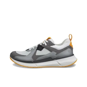 Ecco Biom 2.2 Low Top Casual Shoes Men's Gray White