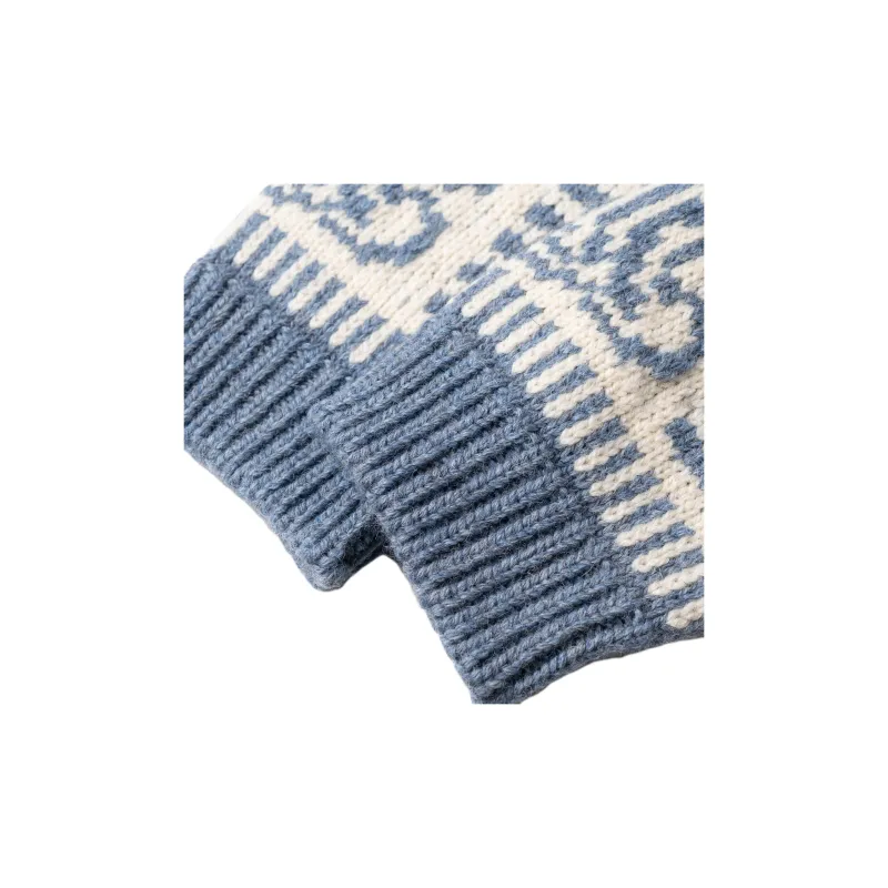 CELINE SS22 Sweater Women's Blue-4