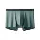 Gray Olive Green