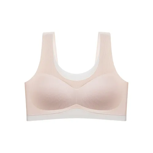 Lanza Women's Bras