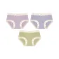 [3 Pack]Purple+Blue+Green