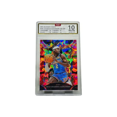 PANINI Graded Cards