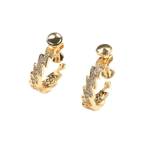 BKBU Titanium Steel Zircon Earrings Unisex