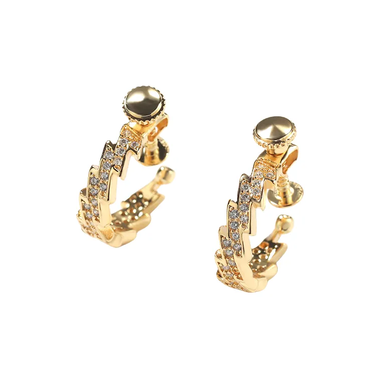 BKBU Titanium Steel Zircon Earrings Unisex-0