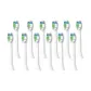 W2 Teeth Whitening Type White 12 Pcs Set