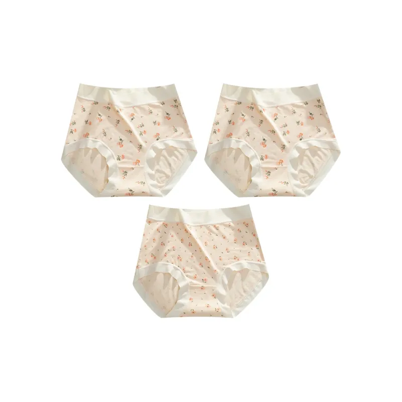 MADALLO Underpants Women's 1 Pack Sky Blue Floral-26