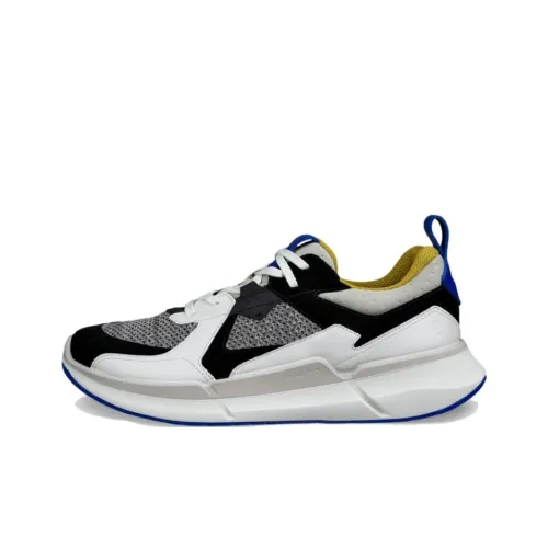 Ecco Biom 2.2 Low-Top Casual Shoes Men's White Black