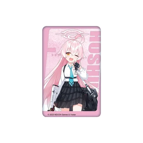 MOEYU Azure Archives First Wave Countermeasures Committee Role Dual Flash Tinplate Badges