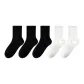 5 Pack[Meteorite Black 3+Ivory White 2]