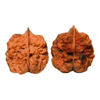 Xihe Core Creation Walnut Fine Handicraft Collectible Unisex