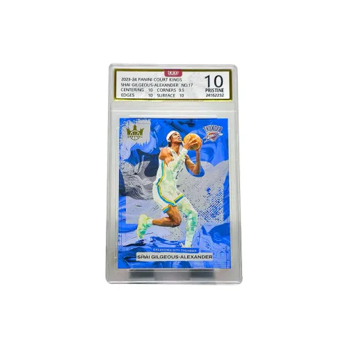 PANINI Graded Cards