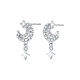 [Silver]