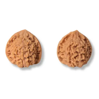 TIANTAISHAN Walnut Fine Handicraft Collectible Unisex