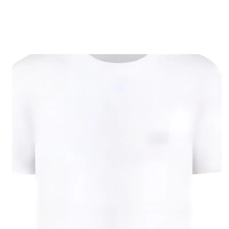 DIOR Logo Embroidered Crewneck T Shirt-4
