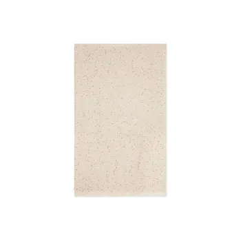 Brunello Cucinelli Sequin Embellished Frayed Edge Scarf