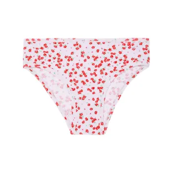 Victoria's Secret PINK Underpants Women's 1 Pack Light Purple Rose Print