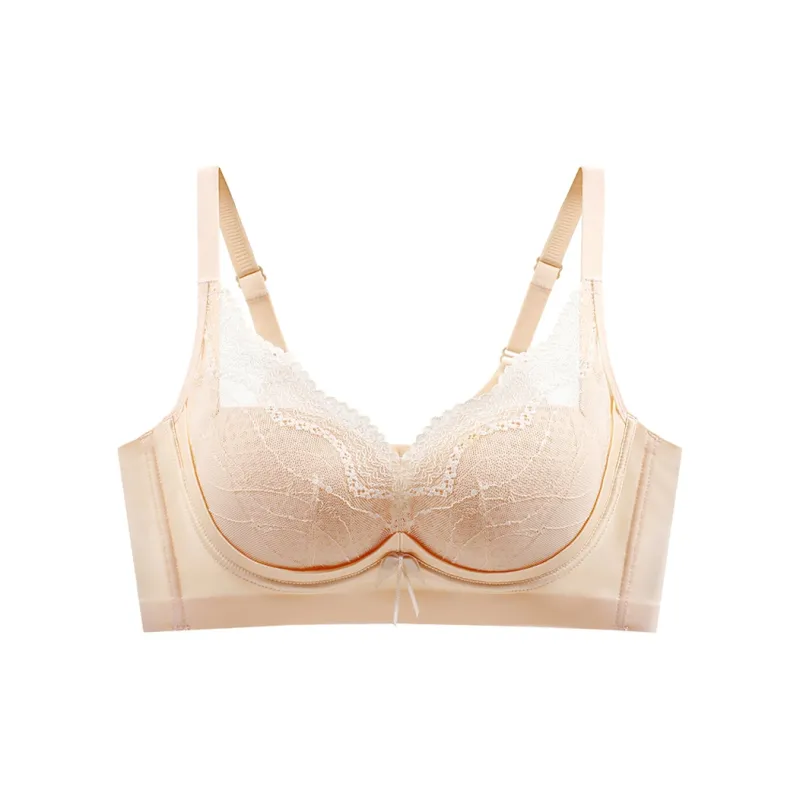 Lanza Bra Women's 2 Pack Light Wisteria Purple-6