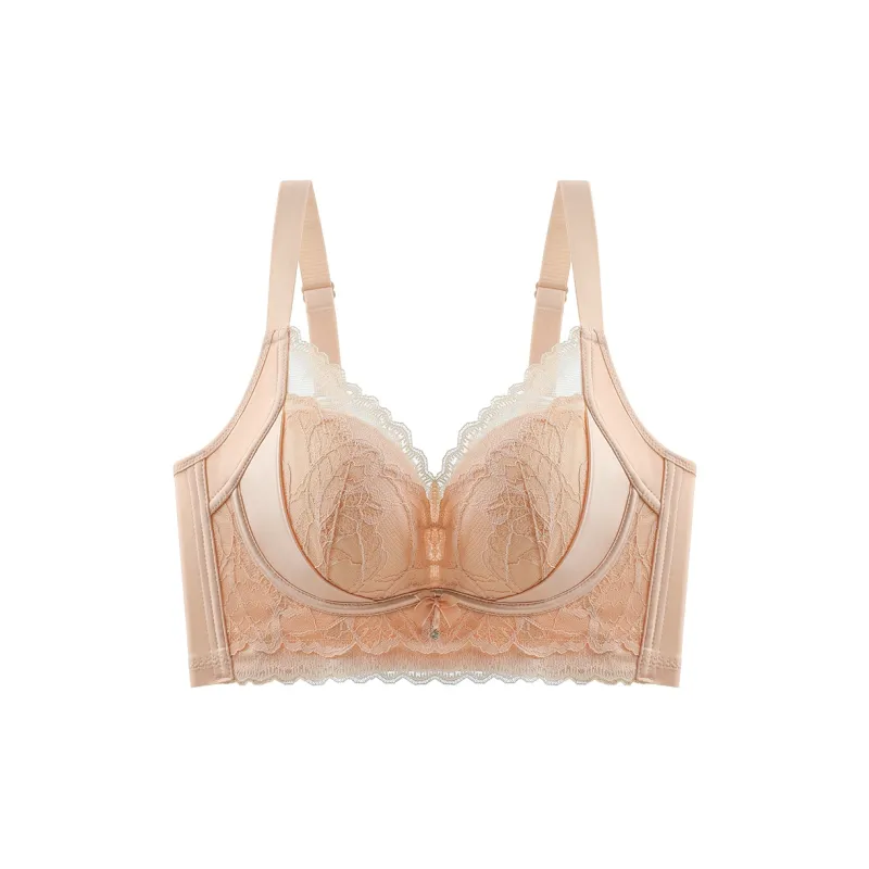 Lanza Bra Women's 2 Pack Allure Black-12