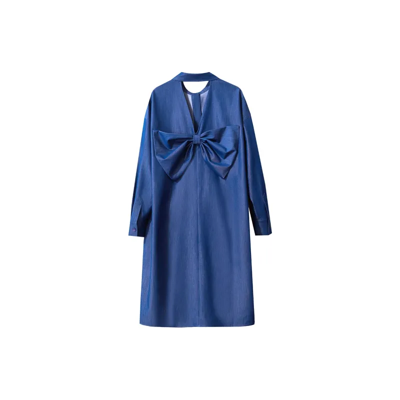 AMII Long Sleeved Dress Women's Denim Blue-1