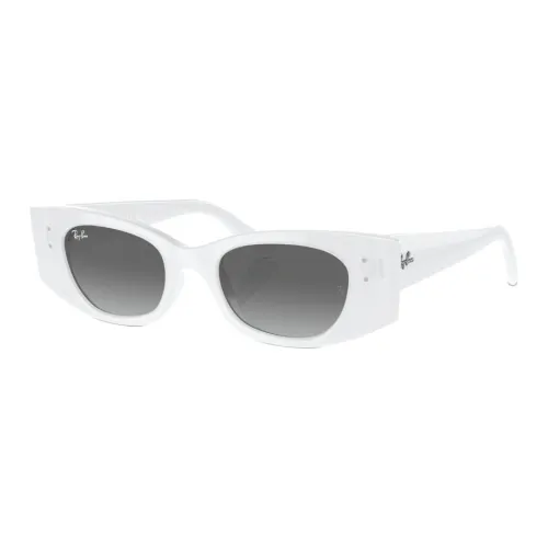 RayBan Injection Irregular Shape Sunglasses Unisex White