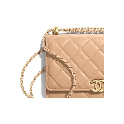 CHANEL WOC Small Gold Ball Cow Leather Wallet On Chain, Coin Purse, Shoulder Bag, Crossbody Bag Women's Nude/Milk Tea-4
