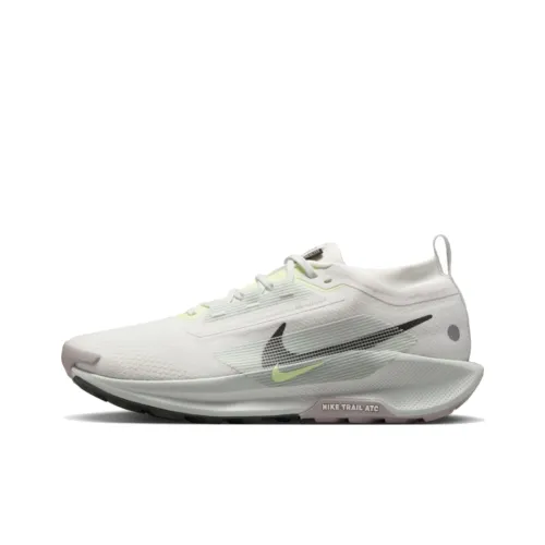 Nike Pegasus Trail 5 Gore Tex Summit White Light Silver College Grey Sequoia