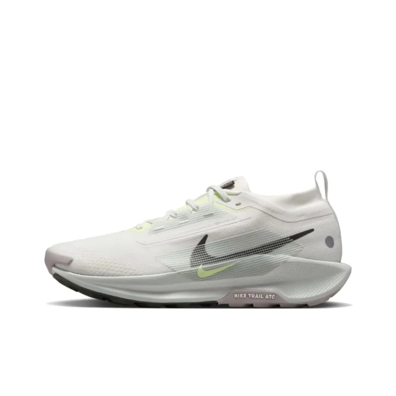 Nike Pegasus Trail 5 Gore Tex Summit White Light Silver College Grey Sequoia-0