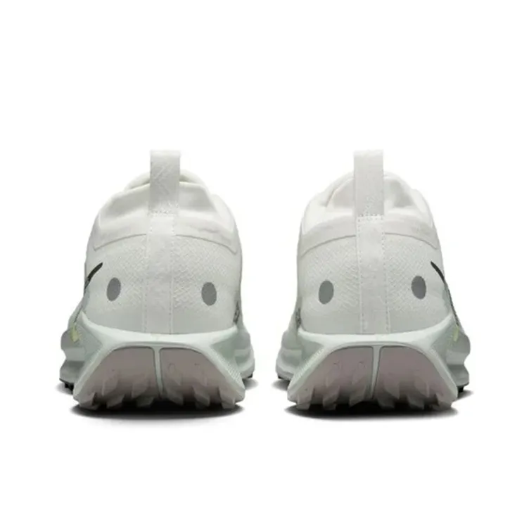 Nike Pegasus Trail 5 Gore Tex Summit White Light Silver College Grey Sequoia-2