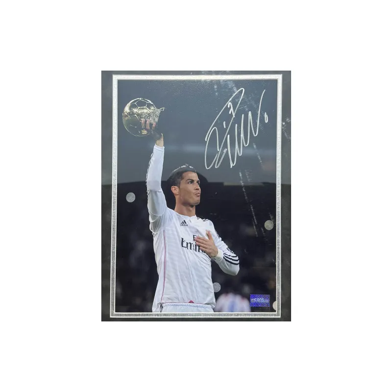 Huayitaojin Photo Collector's Edition Classic ICONS Officially Licensed Company Certificate Framed 40x30cm-1