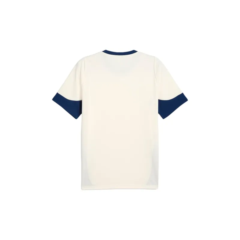 PUMA Portugal Men's Training Jersey-1