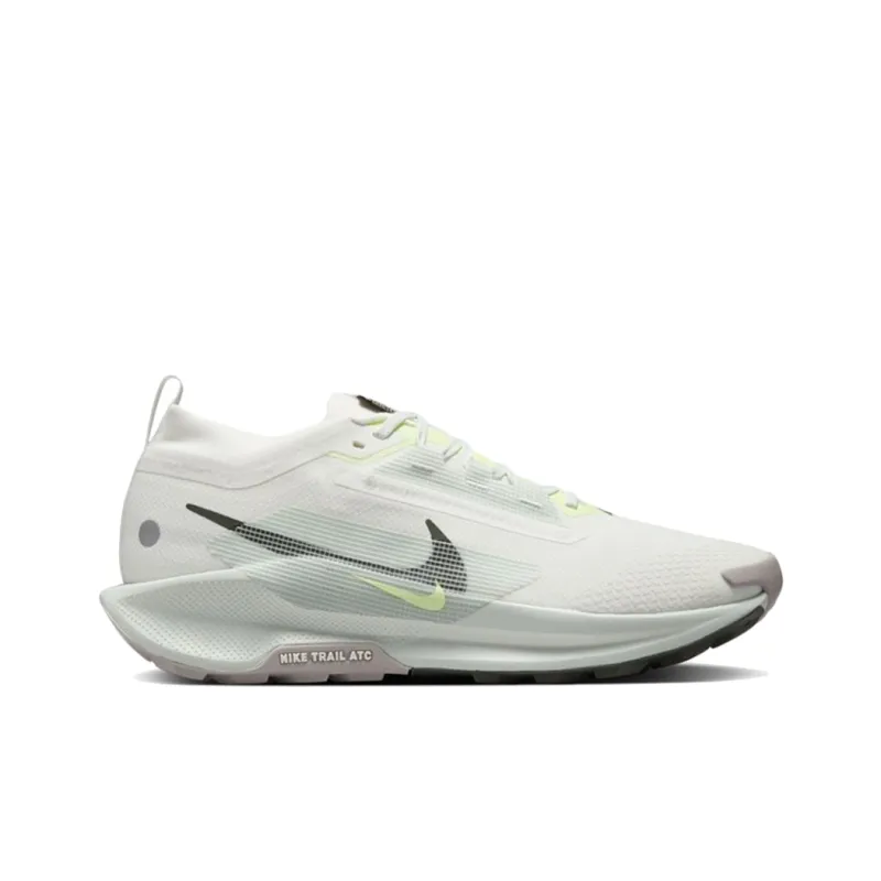 Nike Pegasus Trail 5 Gore Tex Summit White Light Silver College Grey Sequoia-1