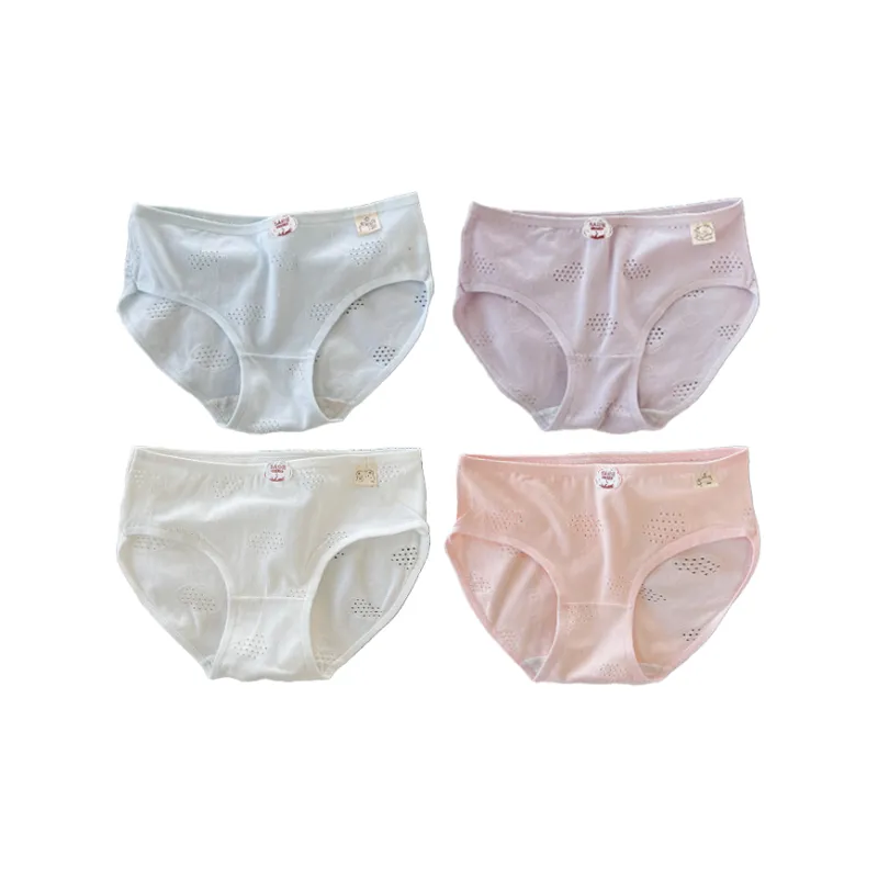 Herbal Primer Underpants Women's 4 Pack-10