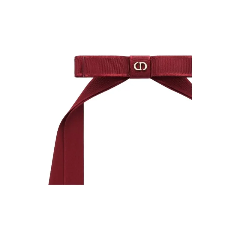DIOR Satin Hair Clips Women's Pomegranate Red-2