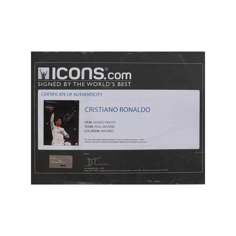 Huayitaojin Photo Collector's Edition Classic ICONS Officially Licensed Company Certificate Framed 40x30cm-3