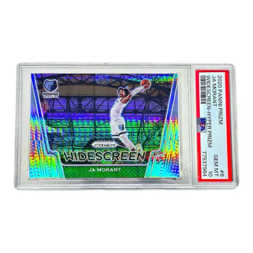 PANINI Graded Cards