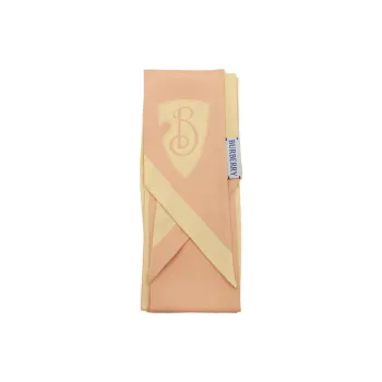 Burberry Skinny Reversible B Shield Scarf
