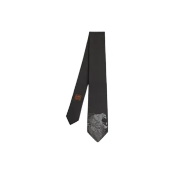 HERMES Ties Men