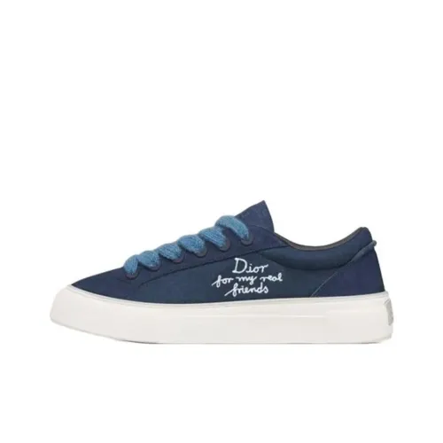 DIOR B33 Spin Dior And Hylton Nel Low Top Skateboard Shoes Men's Blue Limited Edition Numbered Edition