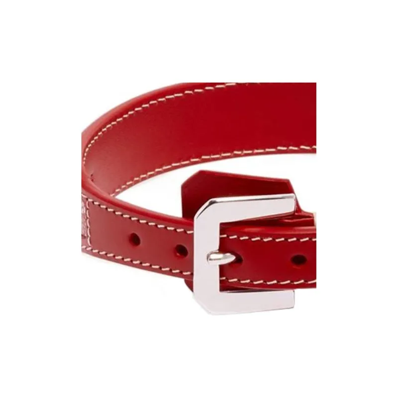 GOYARD Goyardine Canvas With Clamecy Cow Leather Dog's Teeth Collar Bag Accessory Unisex Red-2