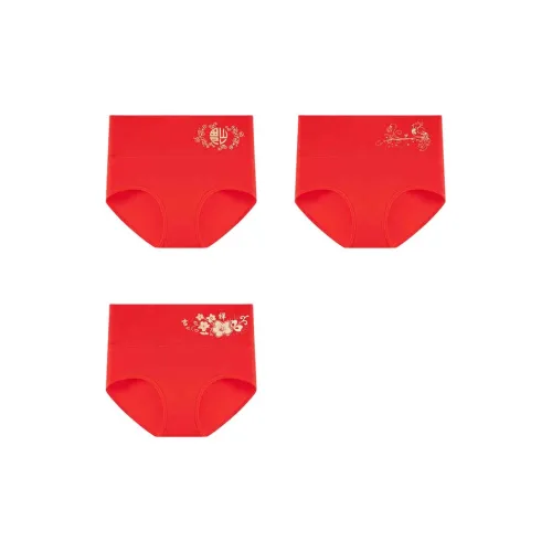 Ordifen Underpants Women's 3 Pack